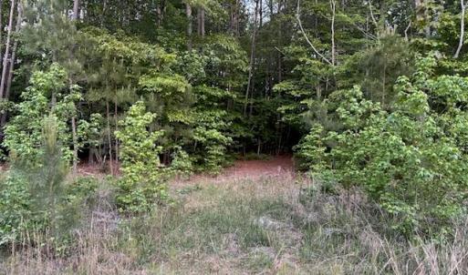 Photo #3 of Lot 12 Fox Chase Drive, Dendron, Virginia 5.6 acres