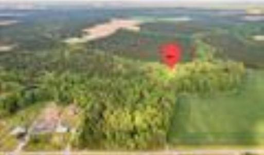 Photo #2 of 10+AC HAZELTON Road, Gates, North Carolina 12.9 acres