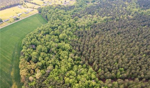 Photo #19 of 10+AC HAZELTON Road, Gates, North Carolina 12.9 acres