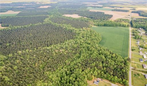 Photo #3 of 10+AC HAZELTON Road, Gates, North Carolina 12.9 acres
