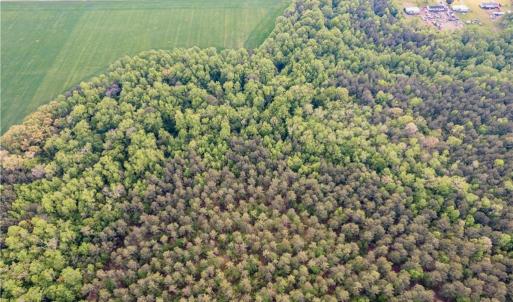 Photo #16 of 10+AC HAZELTON Road, Gates, North Carolina 12.9 acres