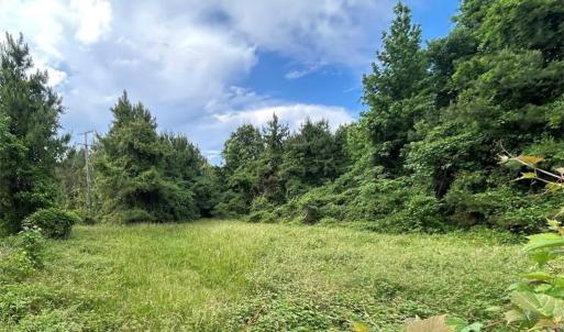 Photo #1 of 55+AC Benefit Road, Chesapeake, Virginia 55.0 acres