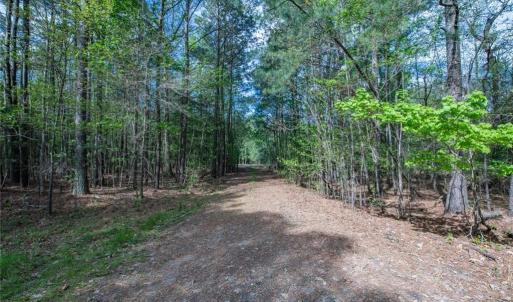 Photo #5 of 24+AC Brewers Neck Road, Carrollton, Virginia 27.3 acres