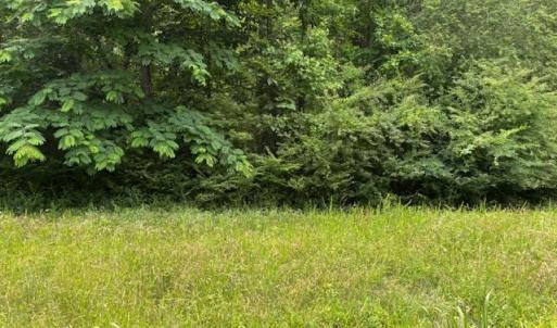 Photo #5 of Lot 2 Branch Bridge Street, Branchville, Virginia 0.5 acres