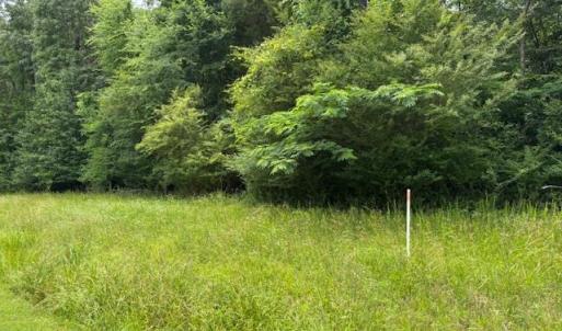 Photo #6 of Lot 2 Branch Bridge Street, Branchville, Virginia 0.5 acres