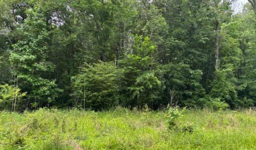 Photo #1 of Lot 4 Branch Bridge Street, Branchville, Virginia 0.5 acres