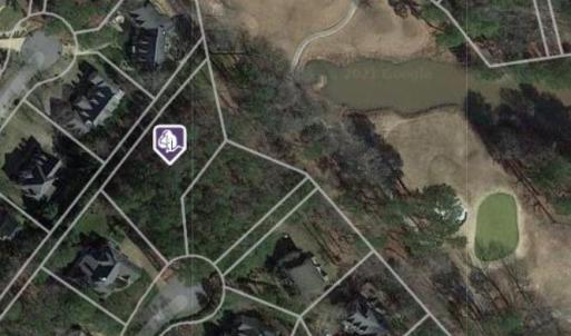 Earth View