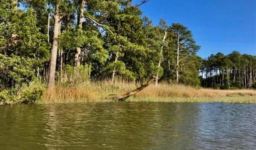 Photo #1 of 81 Finns Point Ln, Hampton, Virginia 5.5 acres