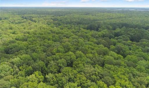 Photo #16 of 32+AC Johnstown Road, Chesapeake, Virginia 32.6 acres
