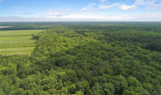 Photo #17 of 32+AC Johnstown Road, Chesapeake, Virginia 32.6 acres
