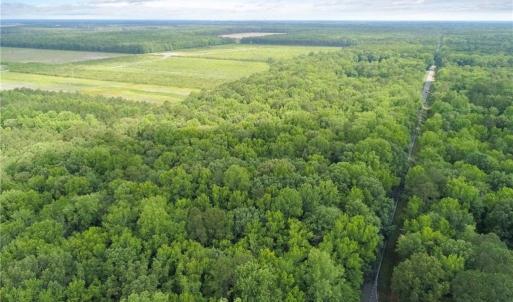 Photo #18 of 32+AC Johnstown Road, Chesapeake, Virginia 32.6 acres