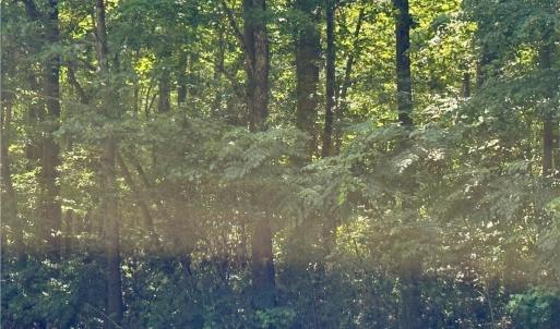 Photo #3 of 32+AC Johnstown Road, Chesapeake, Virginia 32.6 acres