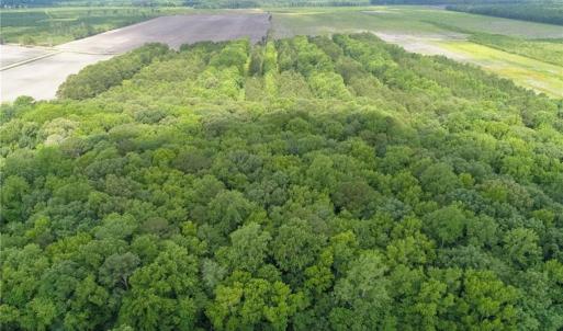 Photo #25 of 32+AC Johnstown Road, Chesapeake, Virginia 32.6 acres