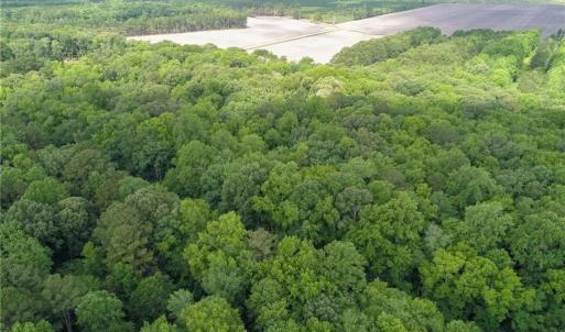Photo #26 of 32+AC Johnstown Road, Chesapeake, Virginia 32.6 acres