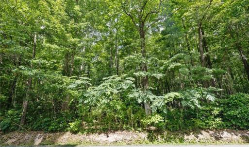 Photo #6 of 32+AC Johnstown Road, Chesapeake, Virginia 32.6 acres