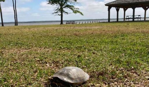 Photo #14 of 213 Martin Farm Lane, Knotts Island, North Carolina 44.4 acres