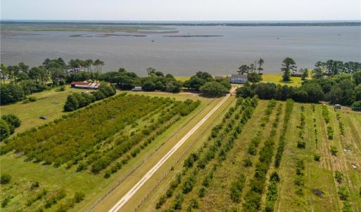 Photo #21 of 213 Martin Farm Lane, Knotts Island, North Carolina 44.4 acres