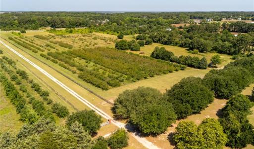 Photo #23 of 213 Martin Farm Lane, Knotts Island, North Carolina 44.4 acres