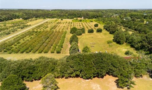 Photo #24 of 213 Martin Farm Lane, Knotts Island, North Carolina 44.4 acres