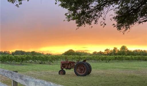 Photo #28 of 213 Martin Farm Lane, Knotts Island, North Carolina 44.4 acres