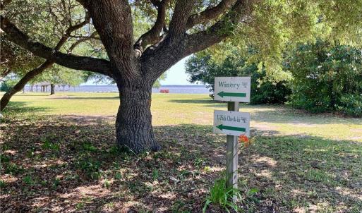 Photo #32 of 213 Martin Farm Lane, Knotts Island, North Carolina 44.4 acres