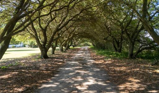 Photo #33 of 213 Martin Farm Lane, Knotts Island, North Carolina 44.4 acres