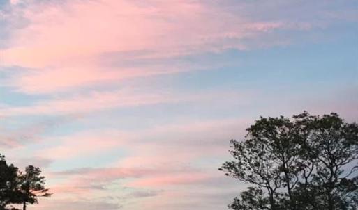 Photo #6 of 213 Martin Farm Lane, Knotts Island, North Carolina 44.4 acres