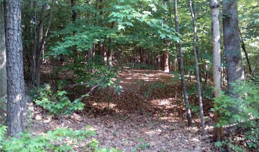 Photo #11 of 25+AC Millers Landing Road, Woods Cross Roads, Virginia 34.1 acres
