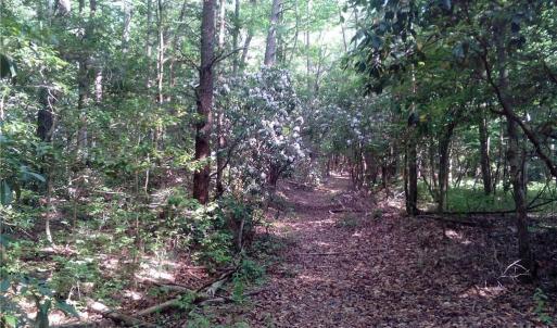 Photo #3 of 25+AC Millers Landing Road, Woods Cross Roads, Virginia 34.1 acres