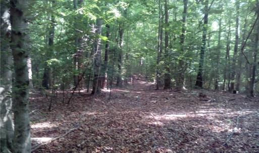 Photo #4 of 25+AC Millers Landing Road, Woods Cross Roads, Virginia 34.1 acres