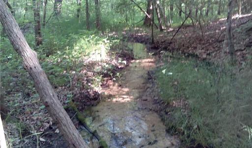 Photo #5 of 25+AC Millers Landing Road, Woods Cross Roads, Virginia 34.1 acres