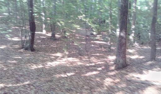 Photo #6 of 25+AC Millers Landing Road, Woods Cross Roads, Virginia 34.1 acres