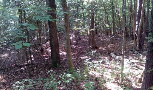 Photo #9 of 25+AC Millers Landing Road, Woods Cross Roads, Virginia 34.1 acres