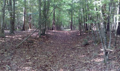 Photo #10 of 25+AC Millers Landing Road, Woods Cross Roads, Virginia 34.1 acres