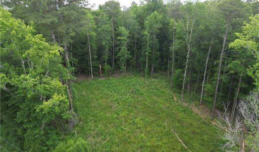 Cleared area