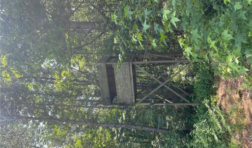 Photo #4 of 406 Copeland Road, Suffolk, Virginia 33.3 acres