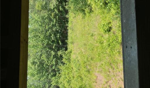 Photo #5 of 406 Copeland Road, Suffolk, Virginia 33.3 acres