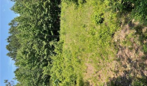 Photo #6 of 406 Copeland Road, Suffolk, Virginia 33.3 acres