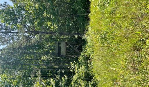 Photo #8 of 406 Copeland Road, Suffolk, Virginia 33.3 acres