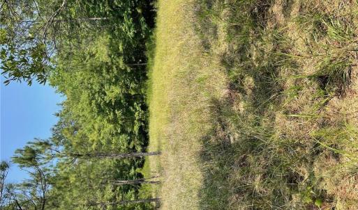 Photo #10 of 406 Copeland Road, Suffolk, Virginia 33.3 acres