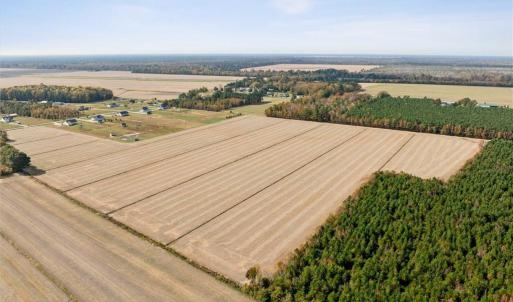 Photo #4 of 4906 Ballahack Road, Chesapeake, Virginia 78.0 acres