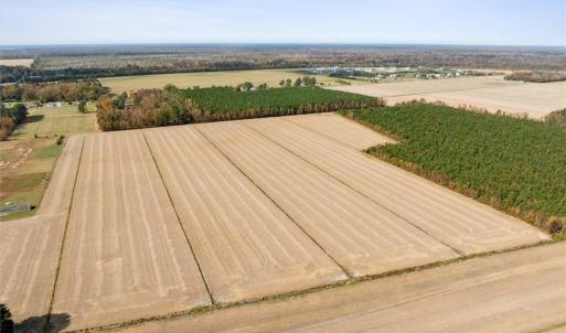 Photo #5 of 4906 Ballahack Road, Chesapeake, Virginia 78.0 acres