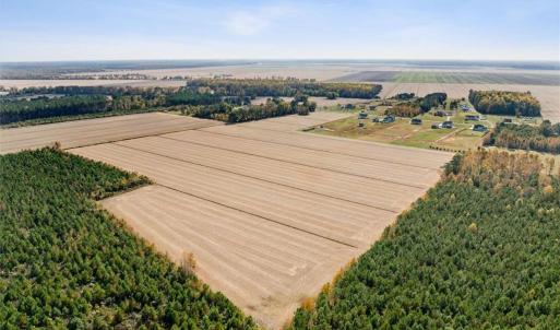 Photo #6 of 4906 Ballahack Road, Chesapeake, Virginia 78.0 acres
