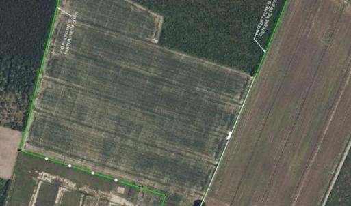 Photo #8 of 4906 Ballahack Road, Chesapeake, Virginia 78.0 acres