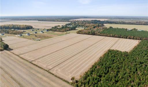 Photo #7 of 4908 Ballahack Road, Chesapeake, Virginia 47.4 acres