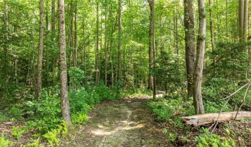 Photo #11 of 34AC Windsor Road, Dutton, Virginia 34.1 acres