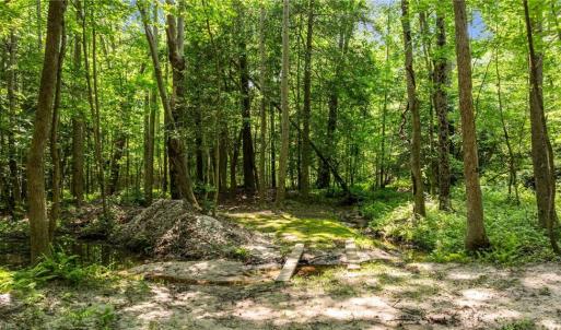 Photo #12 of 34AC Windsor Road, Dutton, Virginia 34.1 acres