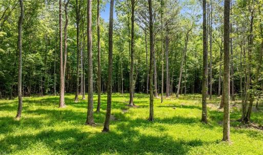 Photo #14 of 34AC Windsor Road, Dutton, Virginia 34.1 acres