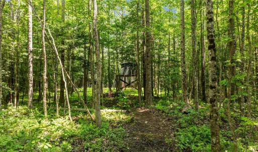 Photo #15 of 34AC Windsor Road, Dutton, Virginia 34.1 acres