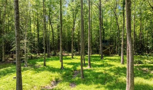 Photo #16 of 34AC Windsor Road, Dutton, Virginia 34.1 acres